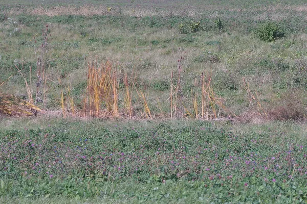 $399,900 | Lot 4 South Rt 52 Road, Manhattan, IL 60442