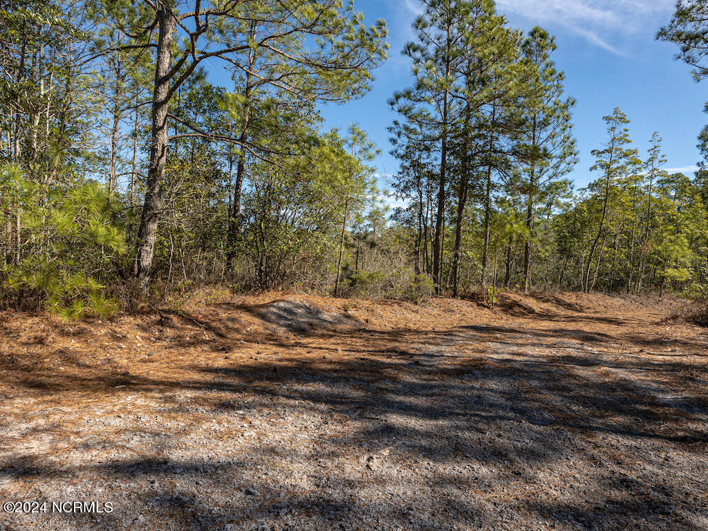 0 Hallsboro Road South Whiteville, NC 28472 - Photo 25 of 27 25