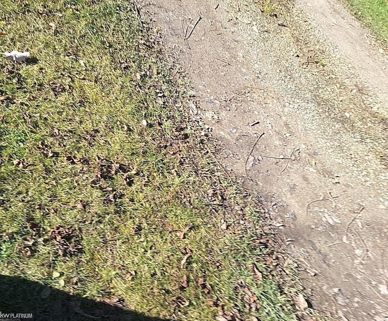 0 Kaufman Road Capac, MI 48014 - Photo 1 of 1 50128249.JPG