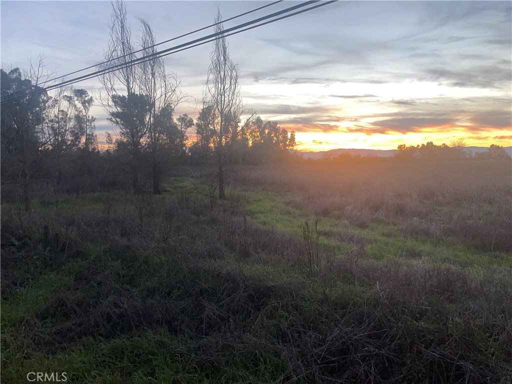 0 Co Rd Highway Orland, CA 95963 - Photo 4 of 4 a view of a yard in front of a house