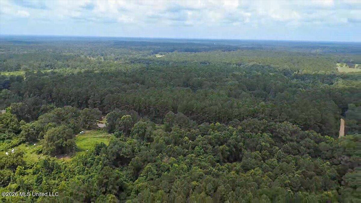 3181 Centerville Road Magnolia, MS 39652 - Photo 53 of 53 45-2026-06-25-11-44-18-459