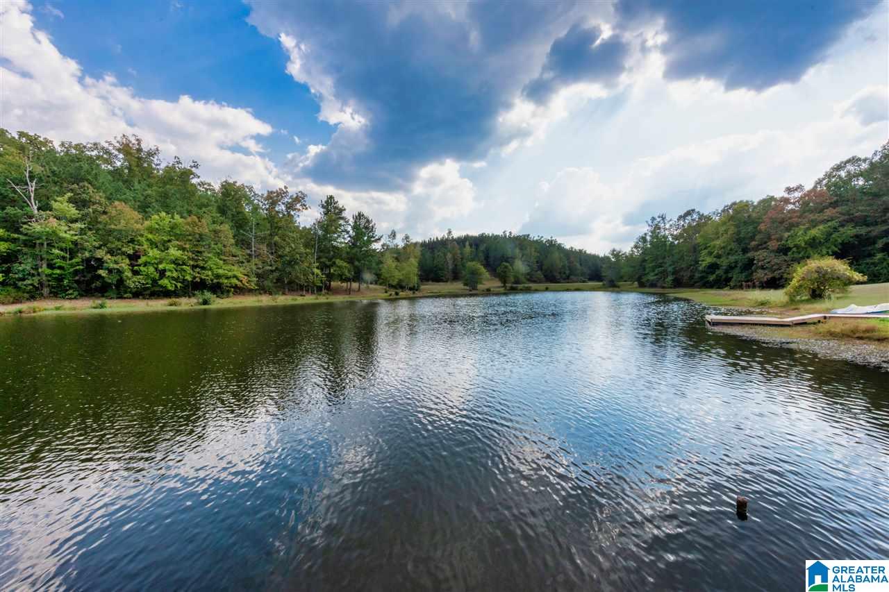 511 Farm Lake Road Trussville, AL 35173 - Photo 19 of 49