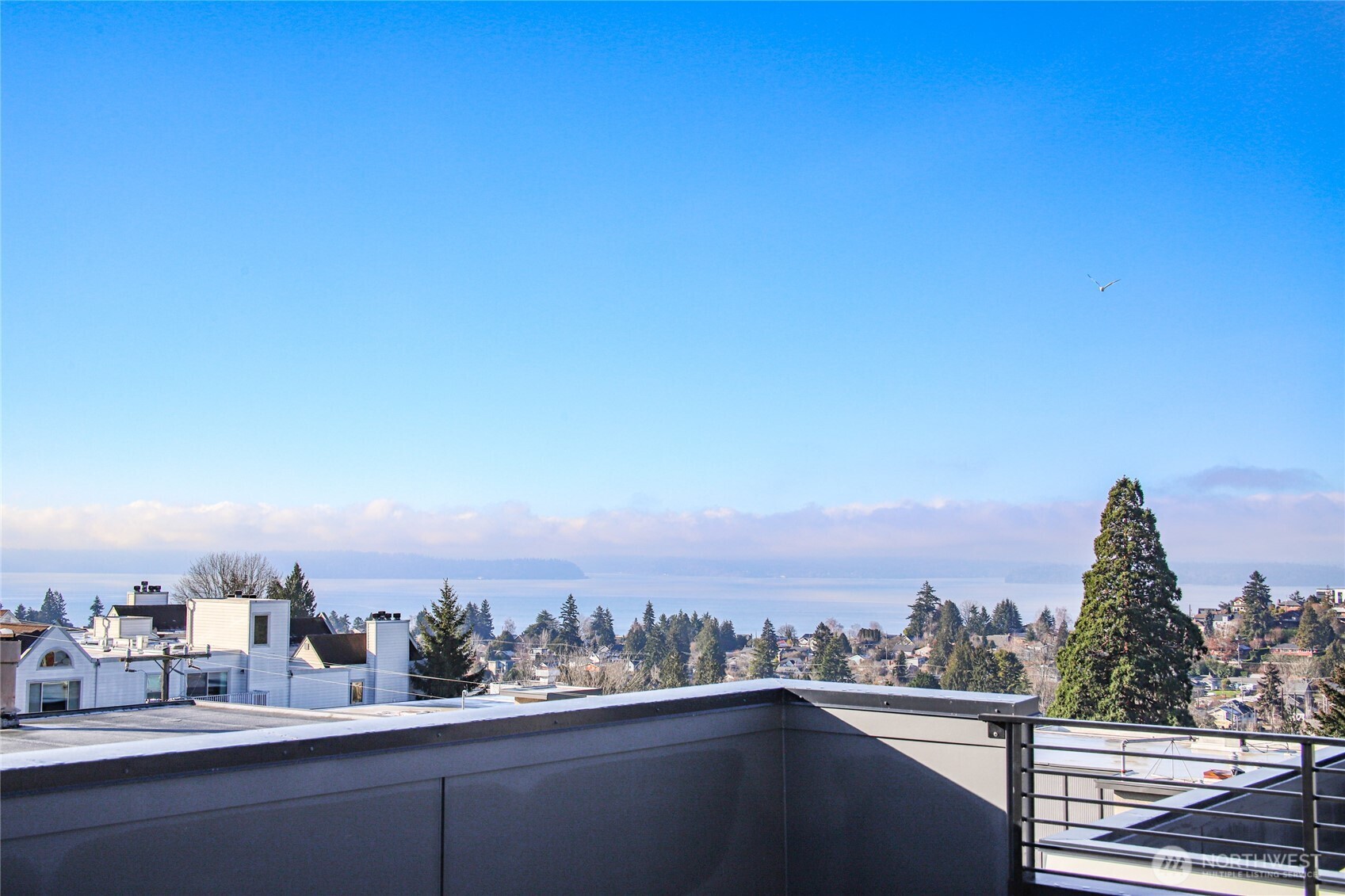 4517 44th Avenue Southwest Seattle, WA 98116 - Photo 31 of 34