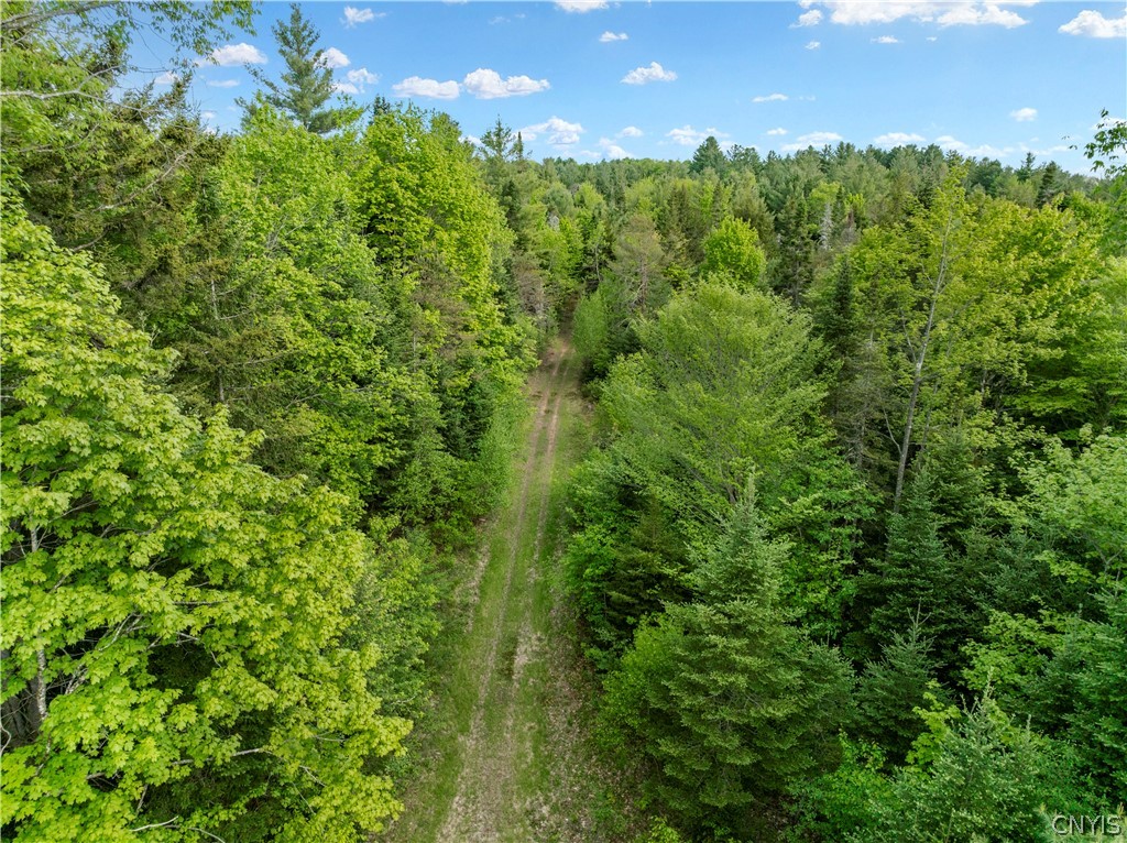 225 Lite Road Russia, NY 13338 - Photo 23 of 26