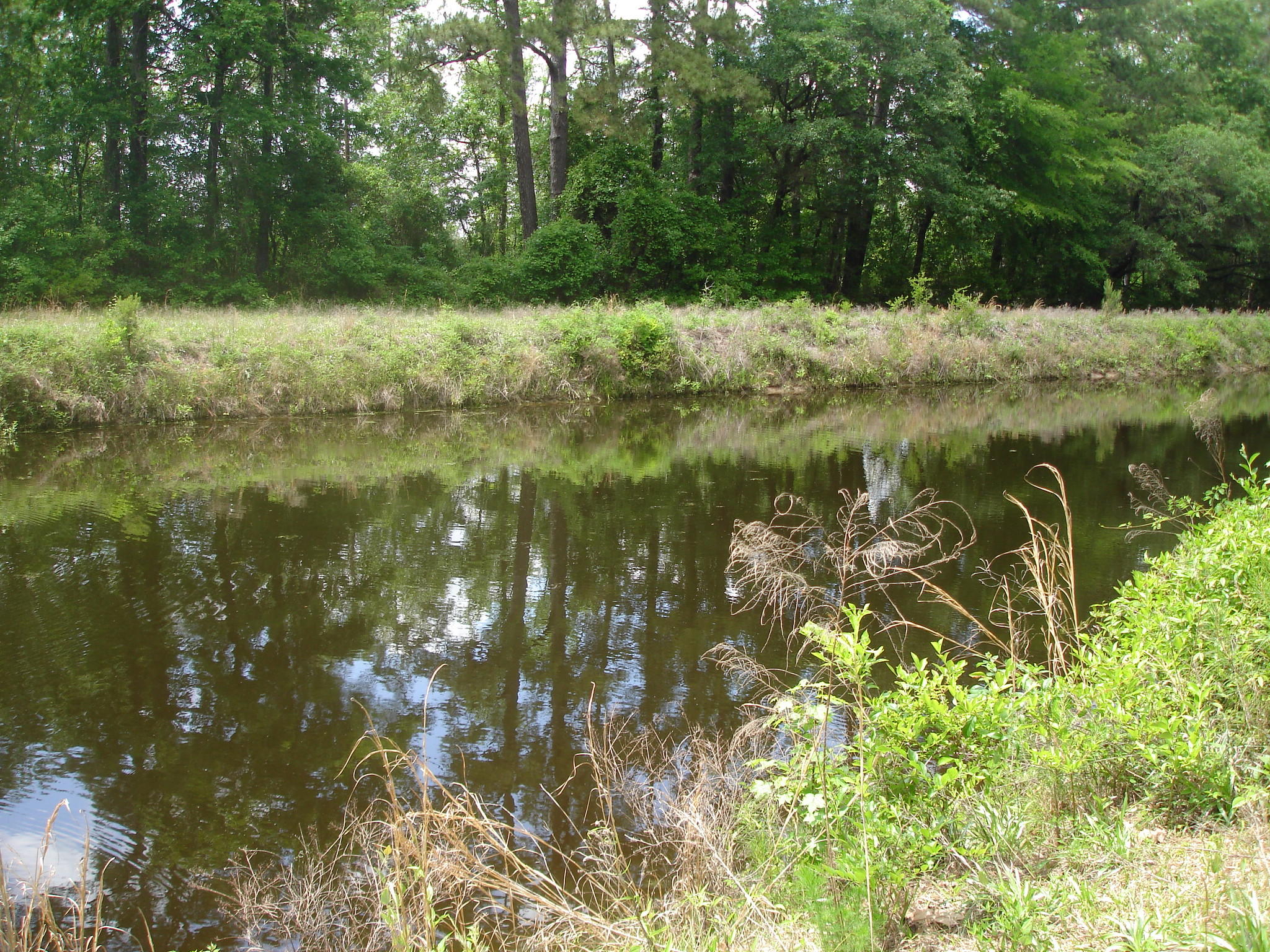 Perry Tract (11)