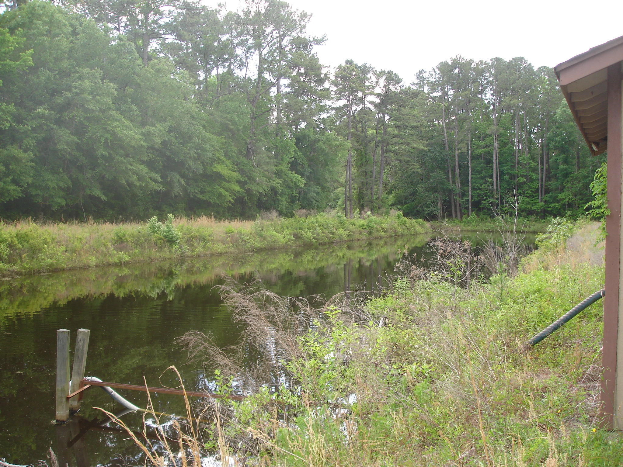 1 Clubhouse Road Ridgeville, SC 29472 - Photo 14 of 18 Perry Tract (7)
