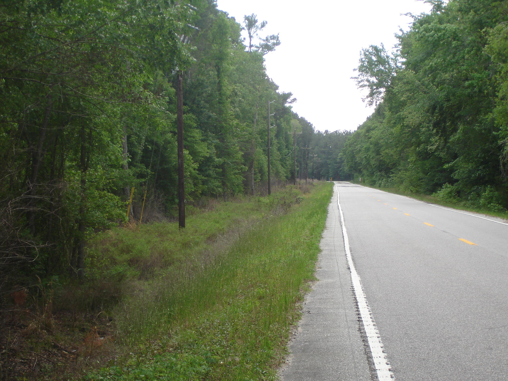 1 Clubhouse Road Ridgeville, SC 29472 - Photo 17 of 18 Perry Tract (2)