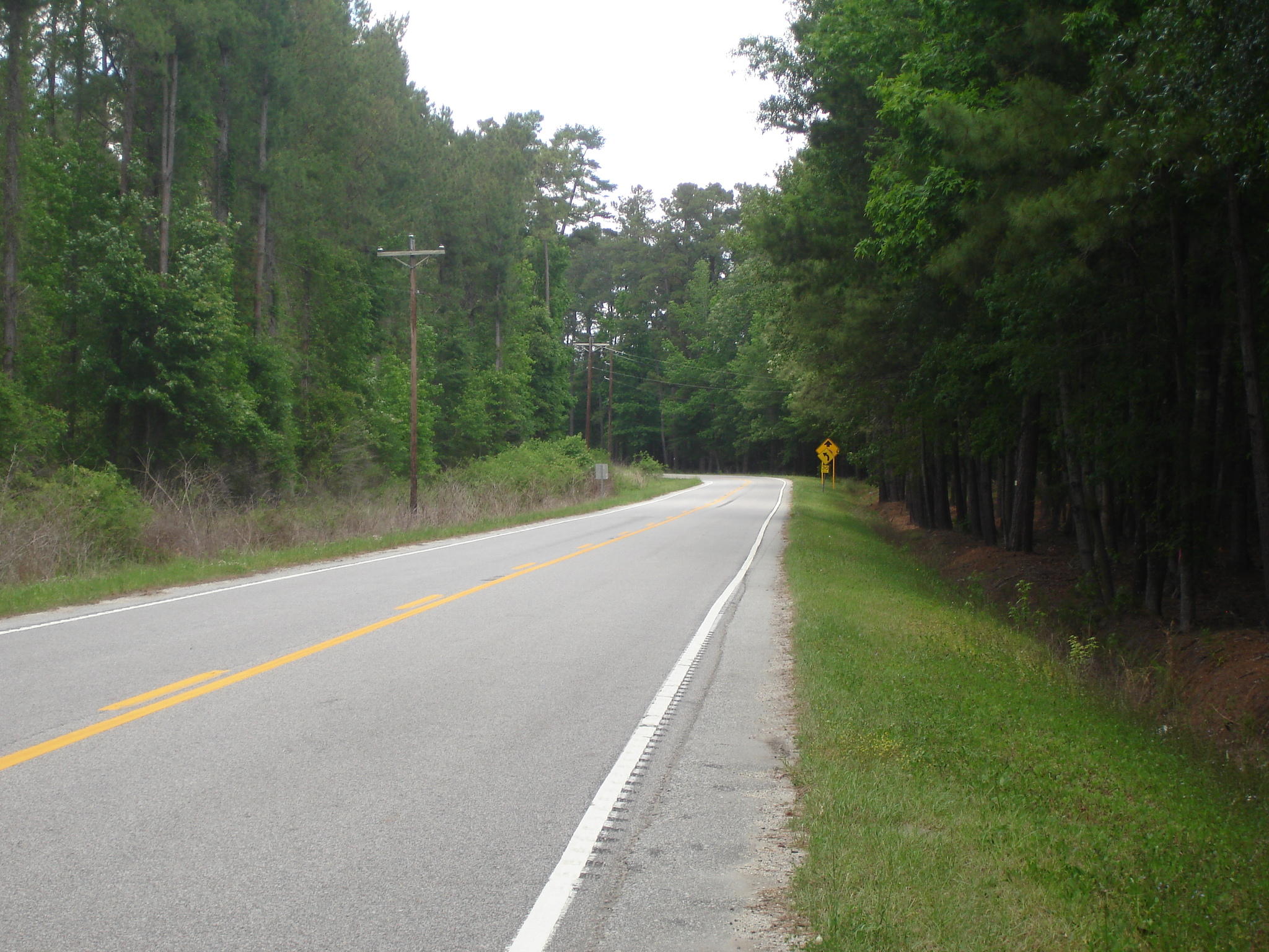 1 Clubhouse Road Ridgeville, SC 29472 - Photo 18 of 18 Perry Tract (1)
