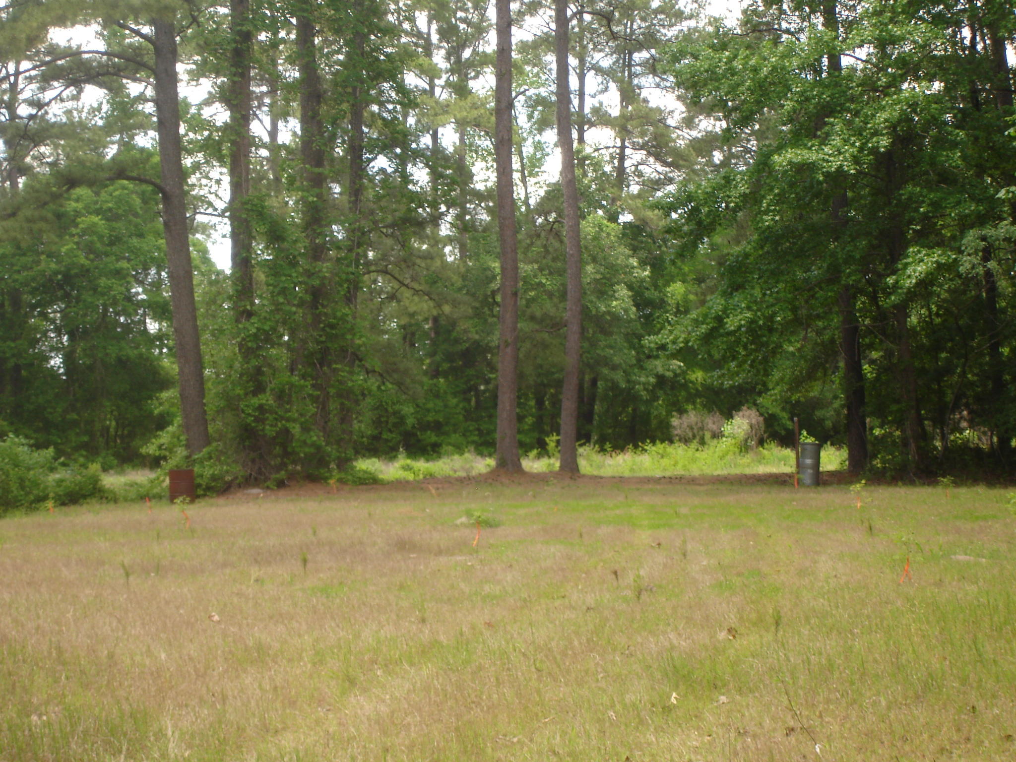 Perry Tract (15)