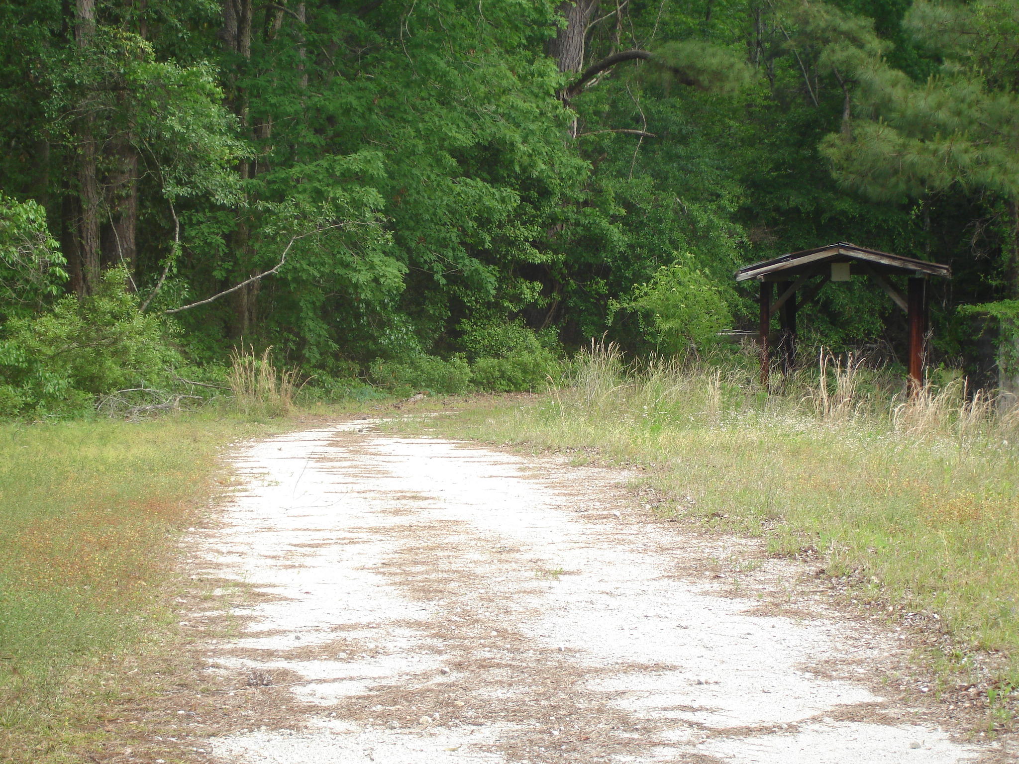 Perry Tract (4)