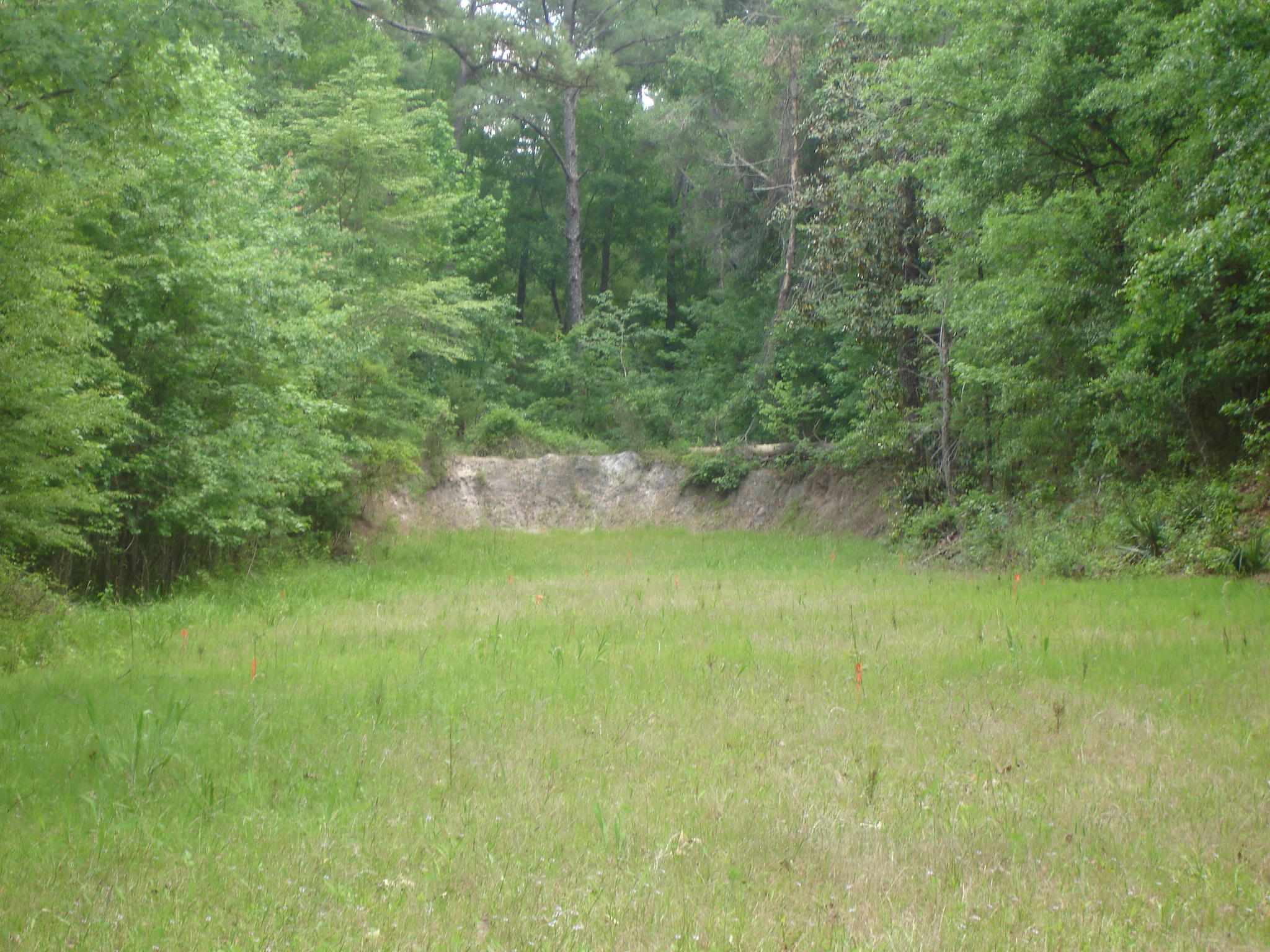1 Clubhouse Road Ridgeville, SC 29472 - Photo 8 of 18 Perry Tract (16)