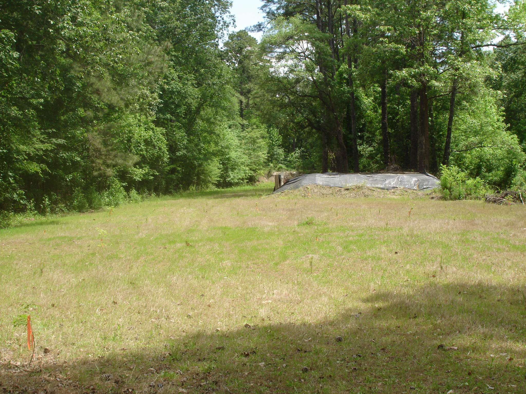 1 Clubhouse Road Ridgeville, SC 29472 - Photo 9 of 18 Perry Tract (13)