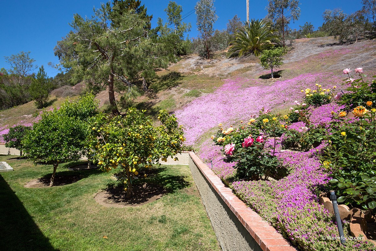 5259 La Glorieta Rancho Santa Fe, CA 92067 - Photo 20 of 25