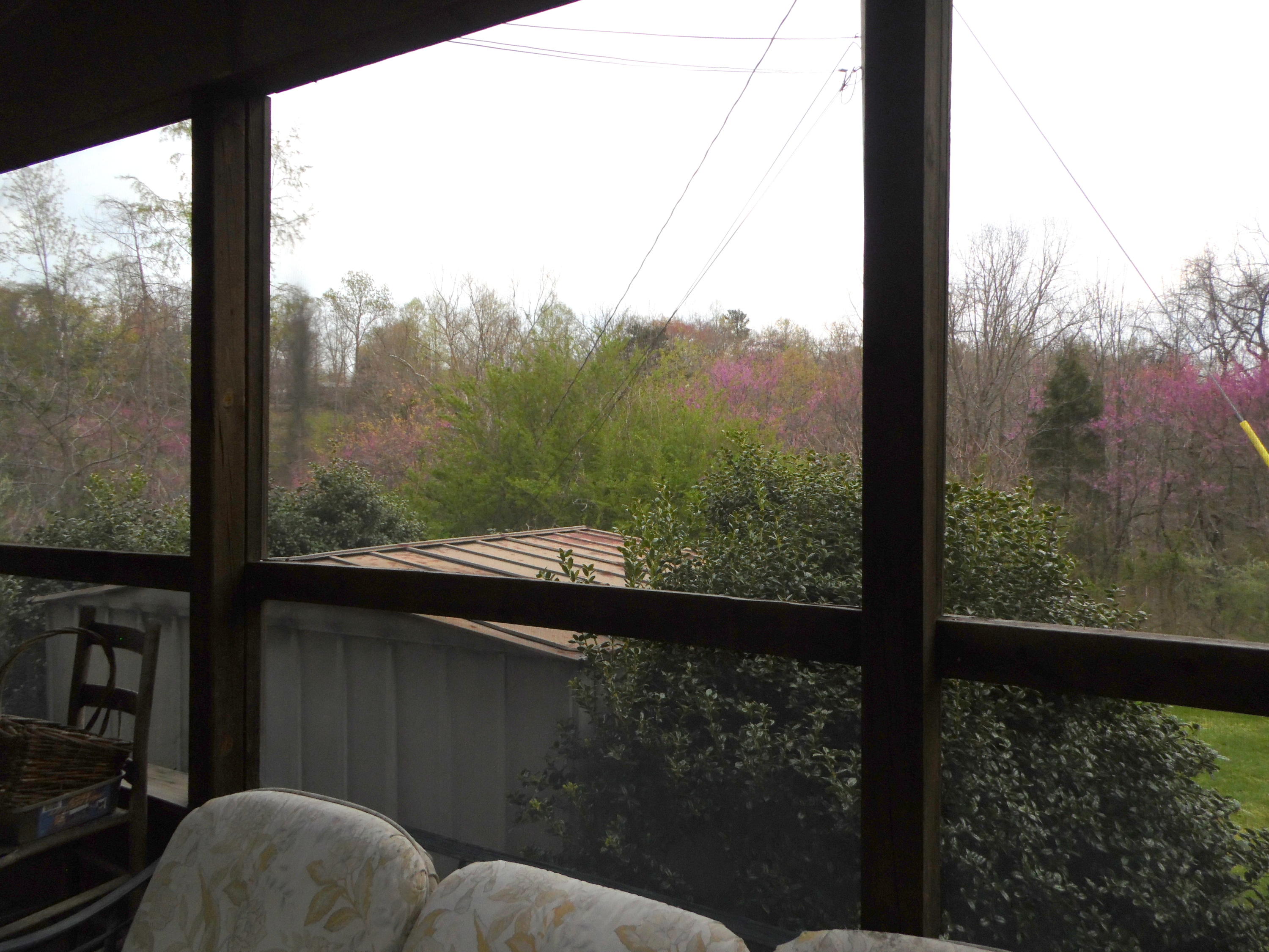 380 Stone Mill Road Jacksboro, TN 37757 - Photo 20 of 29 Screened in porch