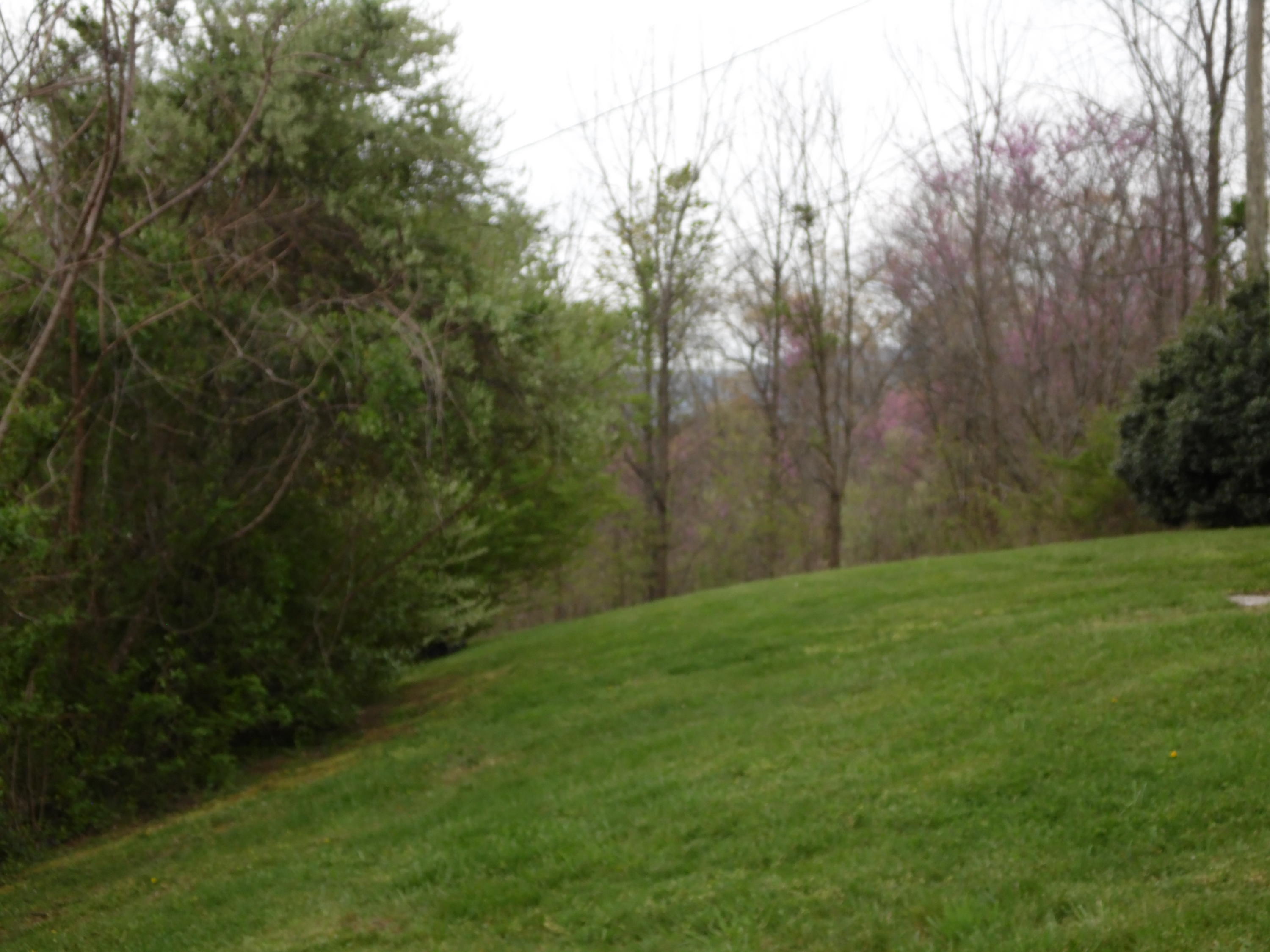 380 Stone Mill Road Jacksboro, TN 37757 - Photo 24 of 29 Yard