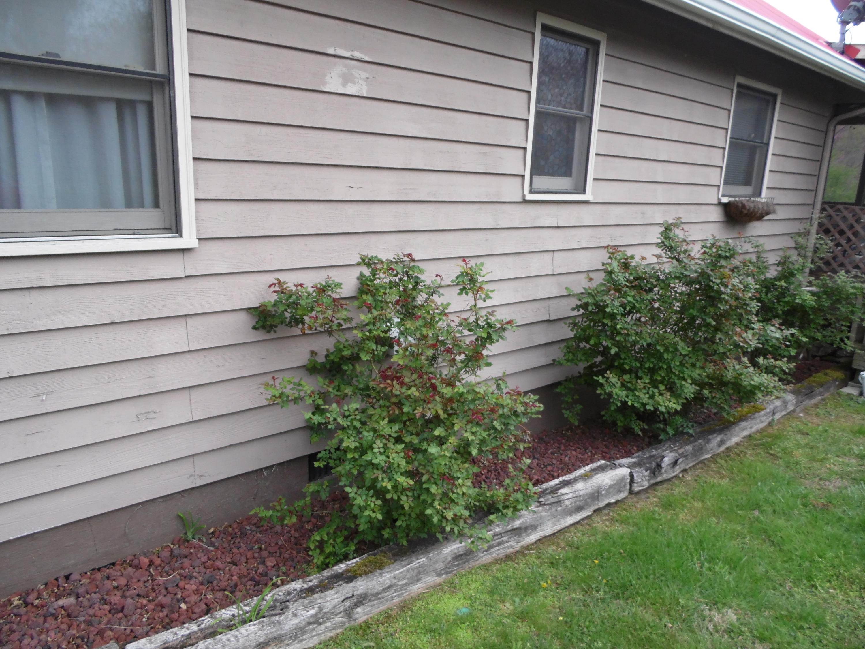 380 Stone Mill Road Jacksboro, TN 37757 - Photo 27 of 29 Landscaping