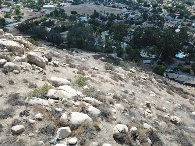 a view of a bunch of trees