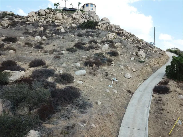 a view of a dry yard with trees