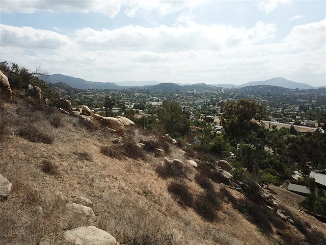 a view of a city with lush green forest