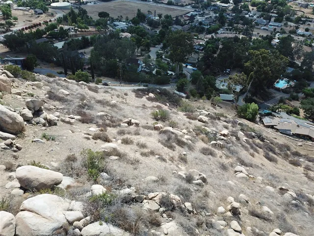 a view of a yard with plants and trees