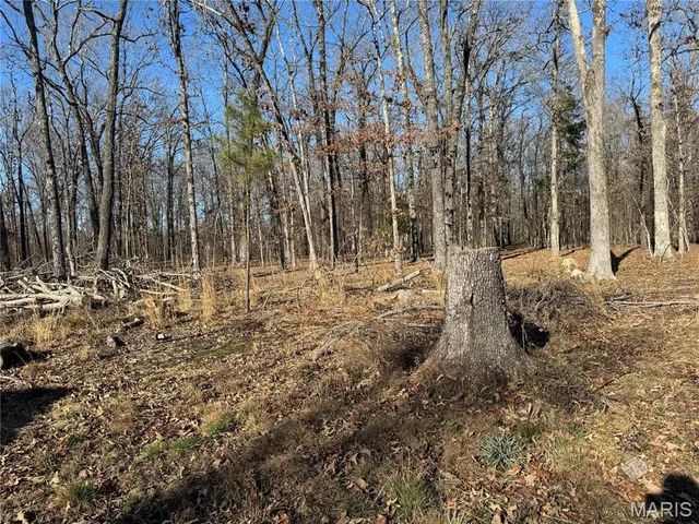 $220,000 | 839 Bluebird Lane, Doniphan, MO 63935