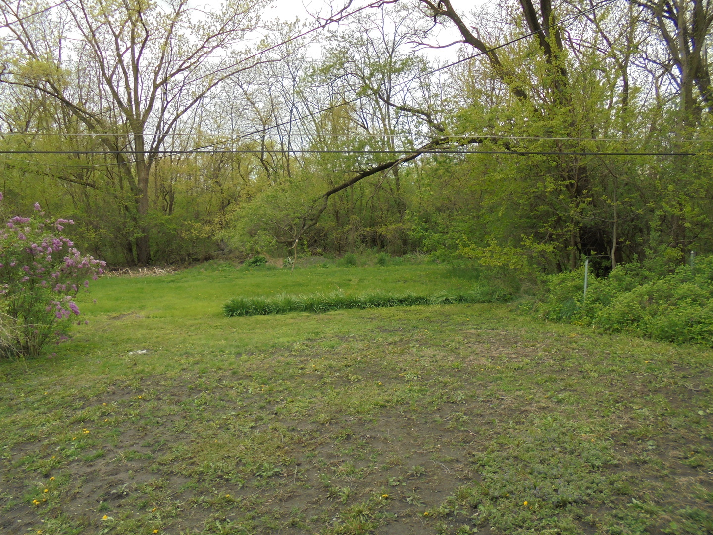14340 Ridgeway Avenue Midlothian, IL 60445 - Photo 5 of 8