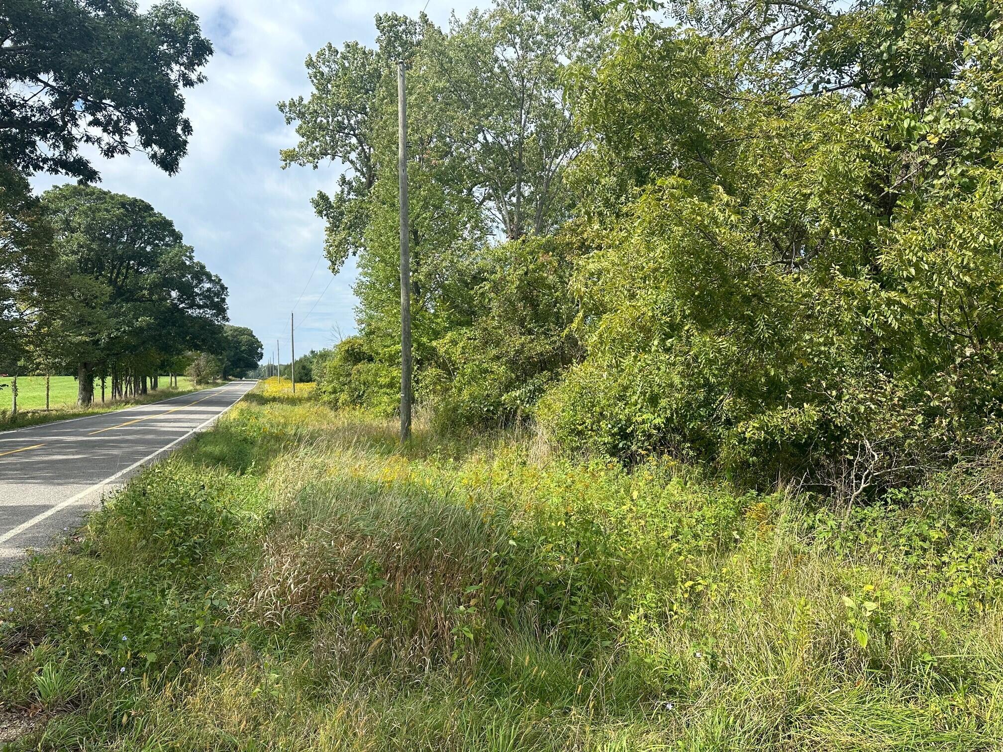 9151 Wilson Road New Buffalo, MI 49117 - Photo 3 of 4 Wilson Rd 2
