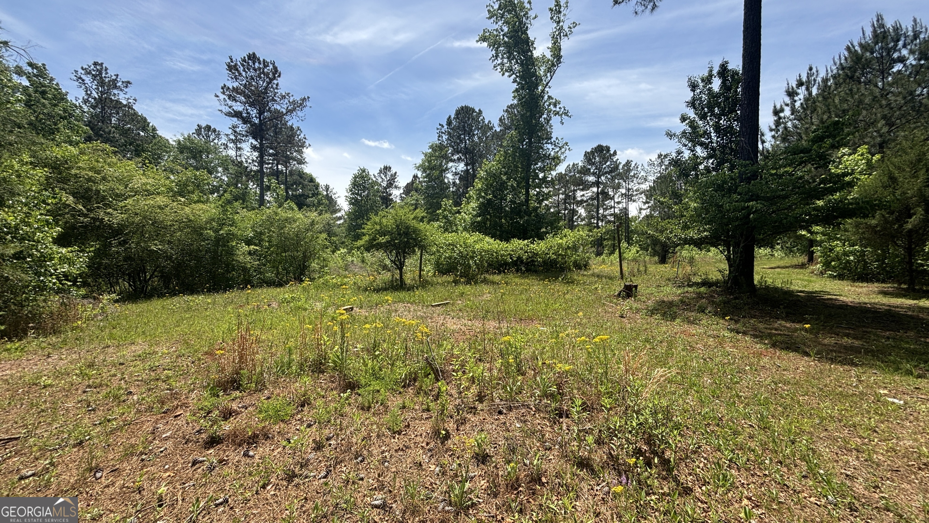 537 Zellner Road Forsyth, GA 31029 - Photo 2 of 3 Gallery Image 2