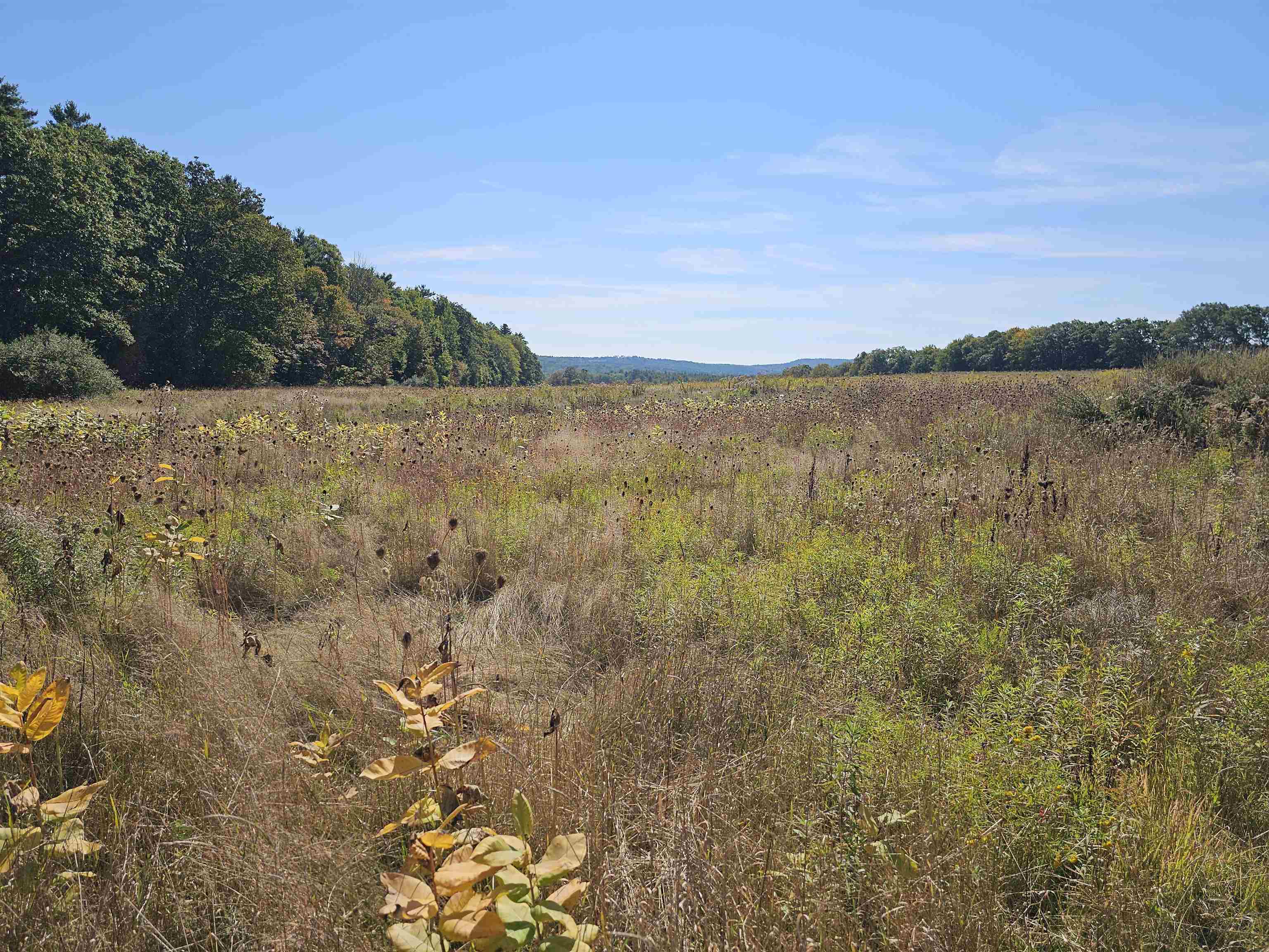 0 Shaw Road Center Barnstead, NH 03225 - Photo 1 of 39