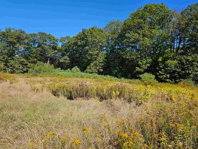 $137,500 | 0 Shaw Road, Center Barnstead, NH 03225