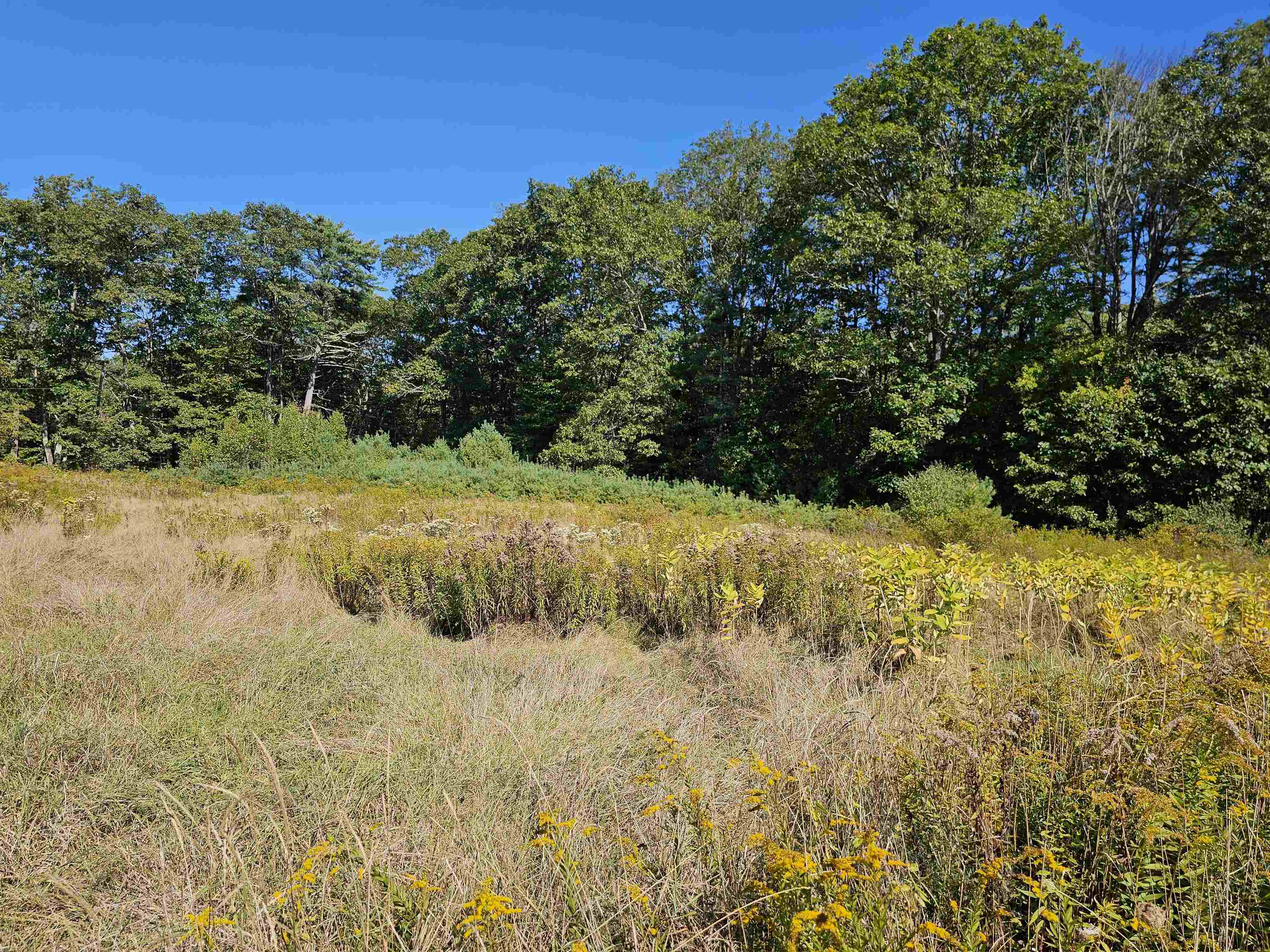 0 Shaw Road Center Barnstead, NH 03225 - Photo 14 of 39