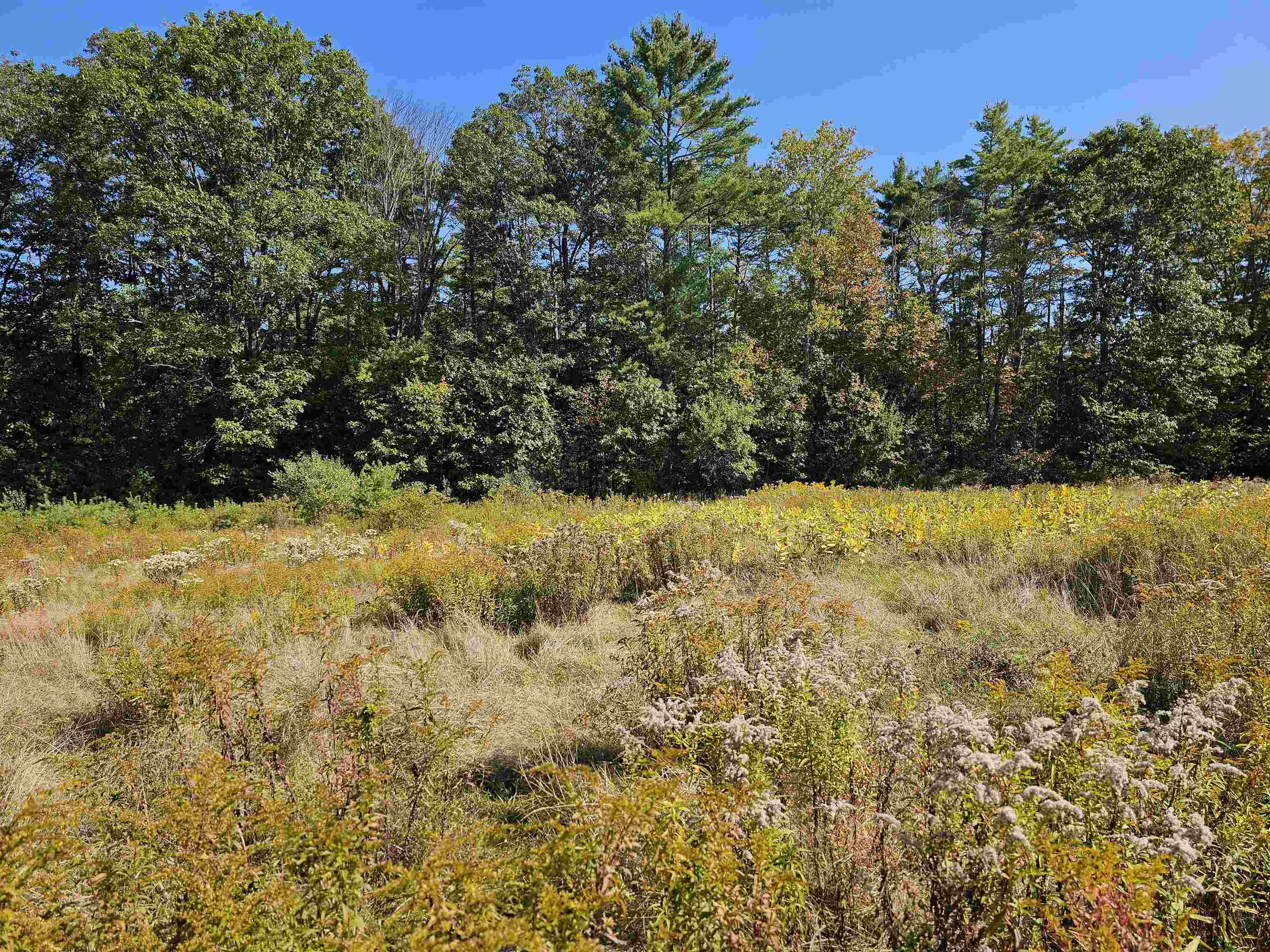 0 Shaw Road Center Barnstead, NH 03225 - Photo 16 of 39