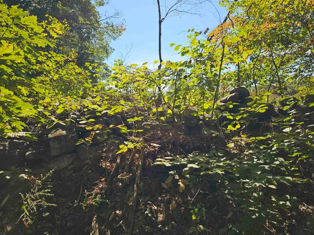 $137,500 | 0 Shaw Road, Center Barnstead, NH 03225