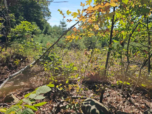 $137,500 | 0 Shaw Road, Center Barnstead, NH 03225