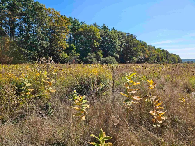$137,500 | 0 Shaw Road, Center Barnstead, NH 03225