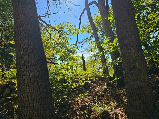 $137,500 | 0 Shaw Road, Center Barnstead, NH 03225