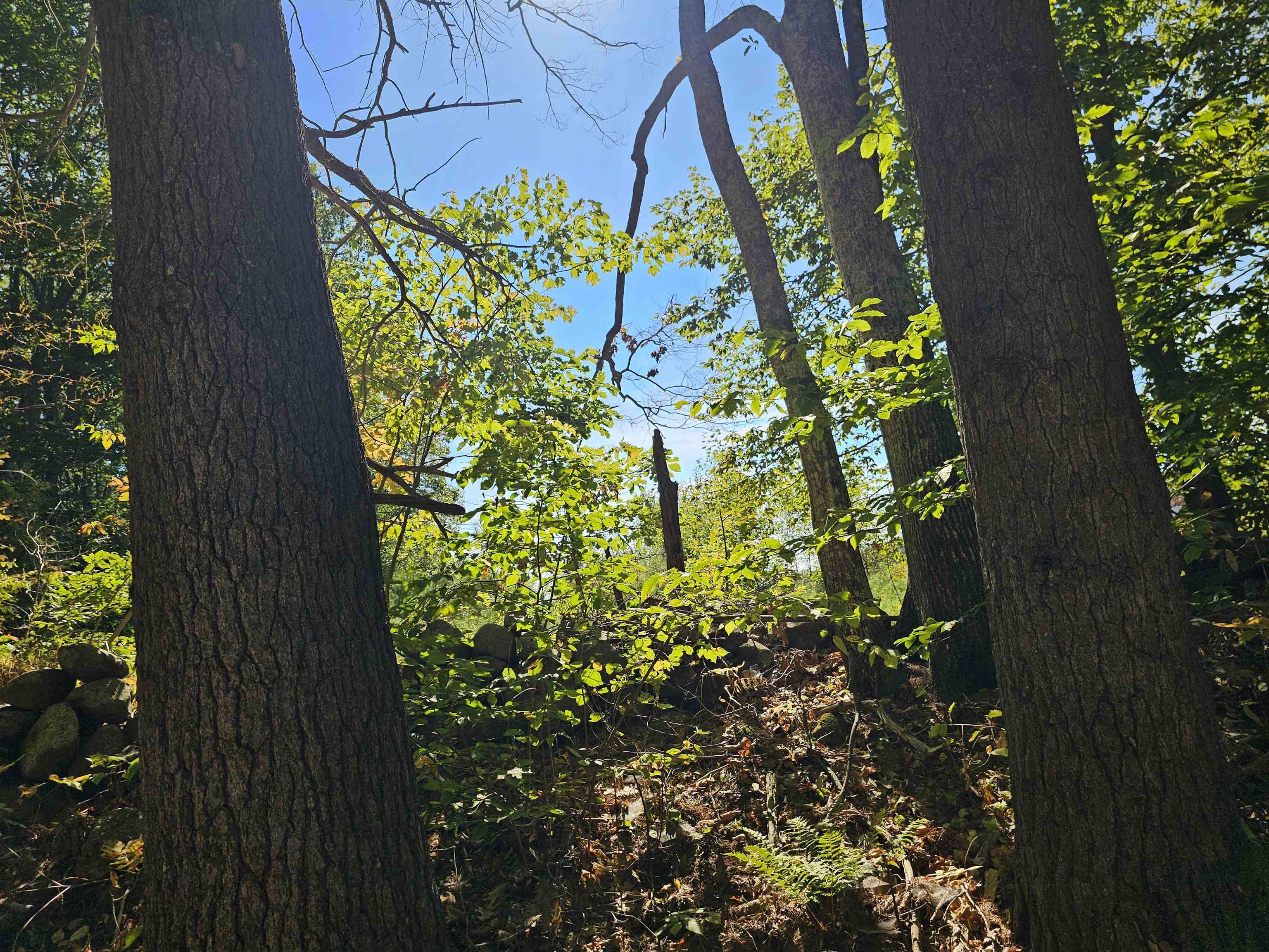 0 Shaw Road Center Barnstead, NH 03225 - Photo 21 of 39