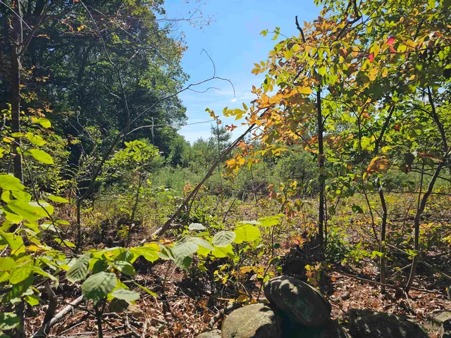 $137,500 | 0 Shaw Road, Center Barnstead, NH 03225