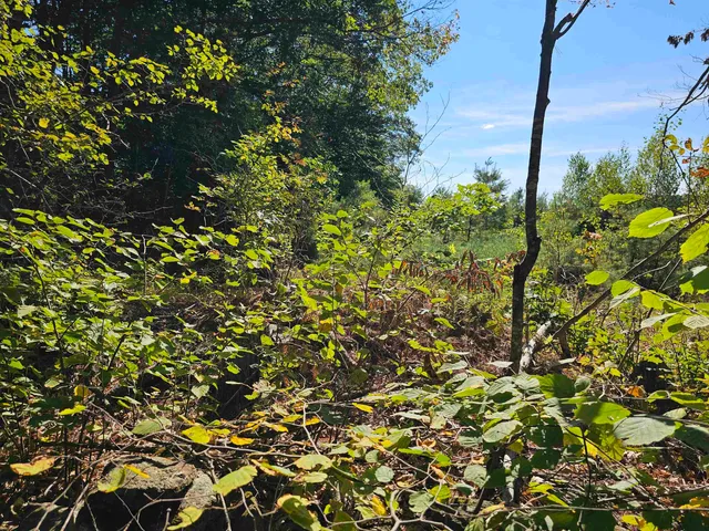 $137,500 | 0 Shaw Road, Center Barnstead, NH 03225