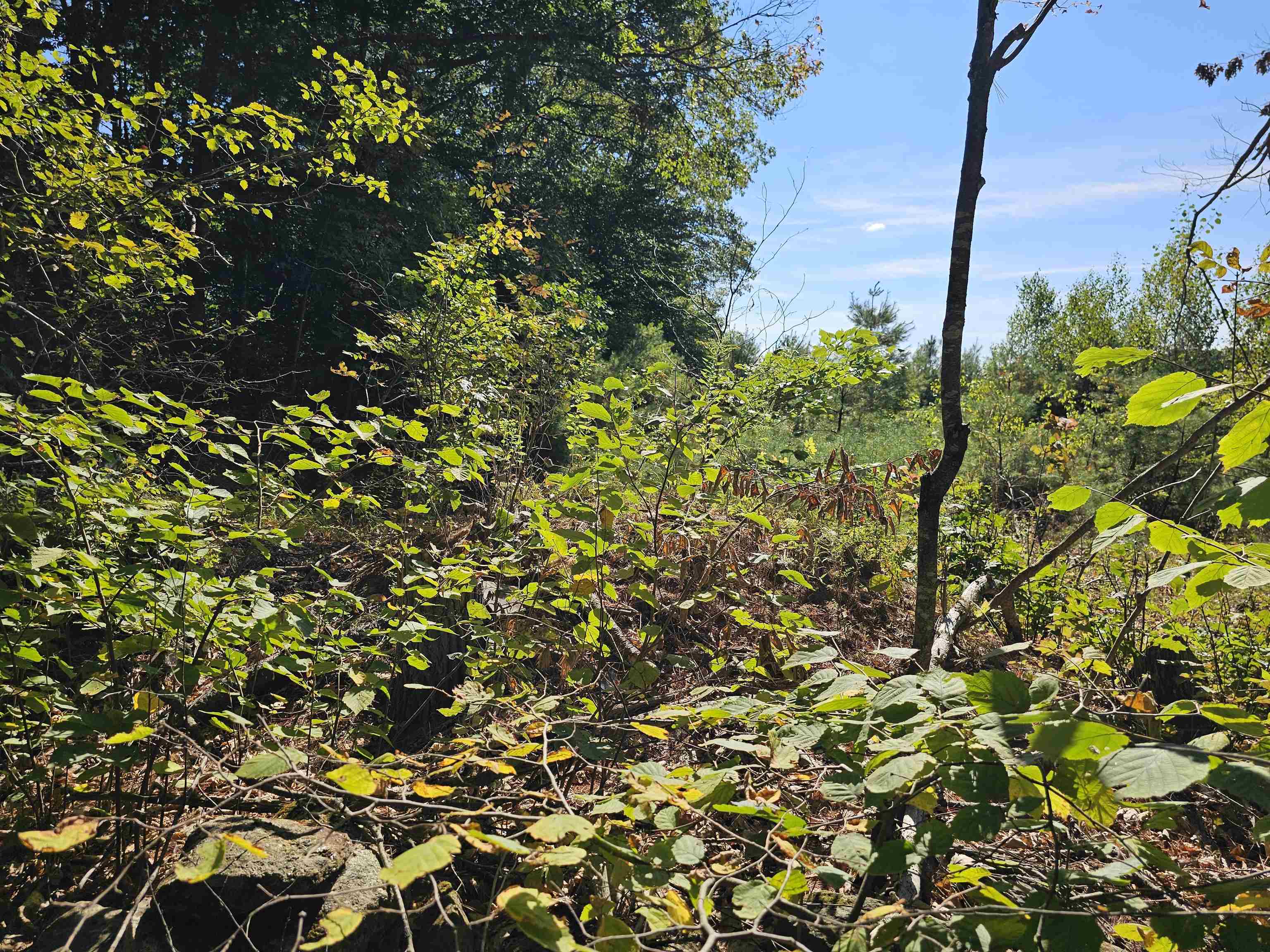 0 Shaw Road Center Barnstead, NH 03225 - Photo 25 of 39