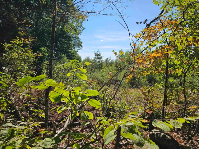 $137,500 | 0 Shaw Road, Center Barnstead, NH 03225