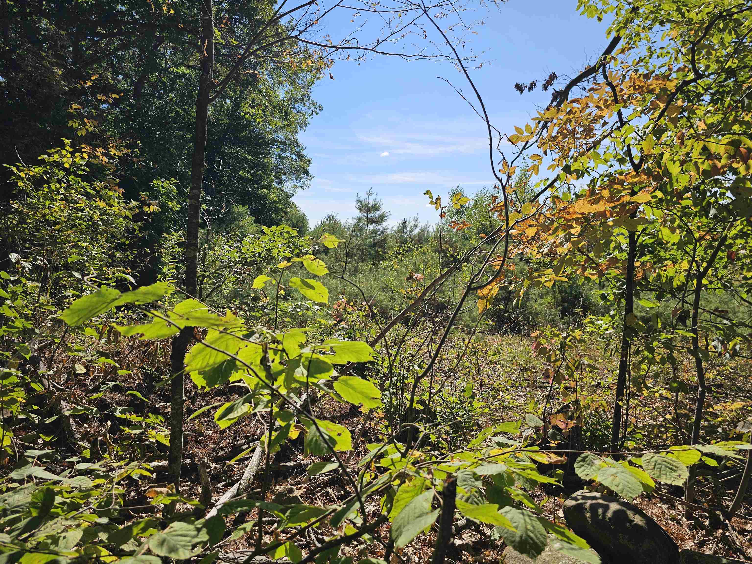 0 Shaw Road Center Barnstead, NH 03225 - Photo 26 of 39