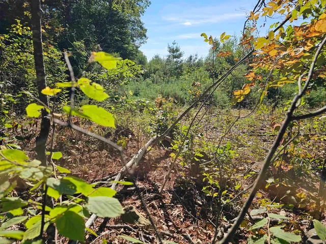 $137,500 | 0 Shaw Road, Center Barnstead, NH 03225