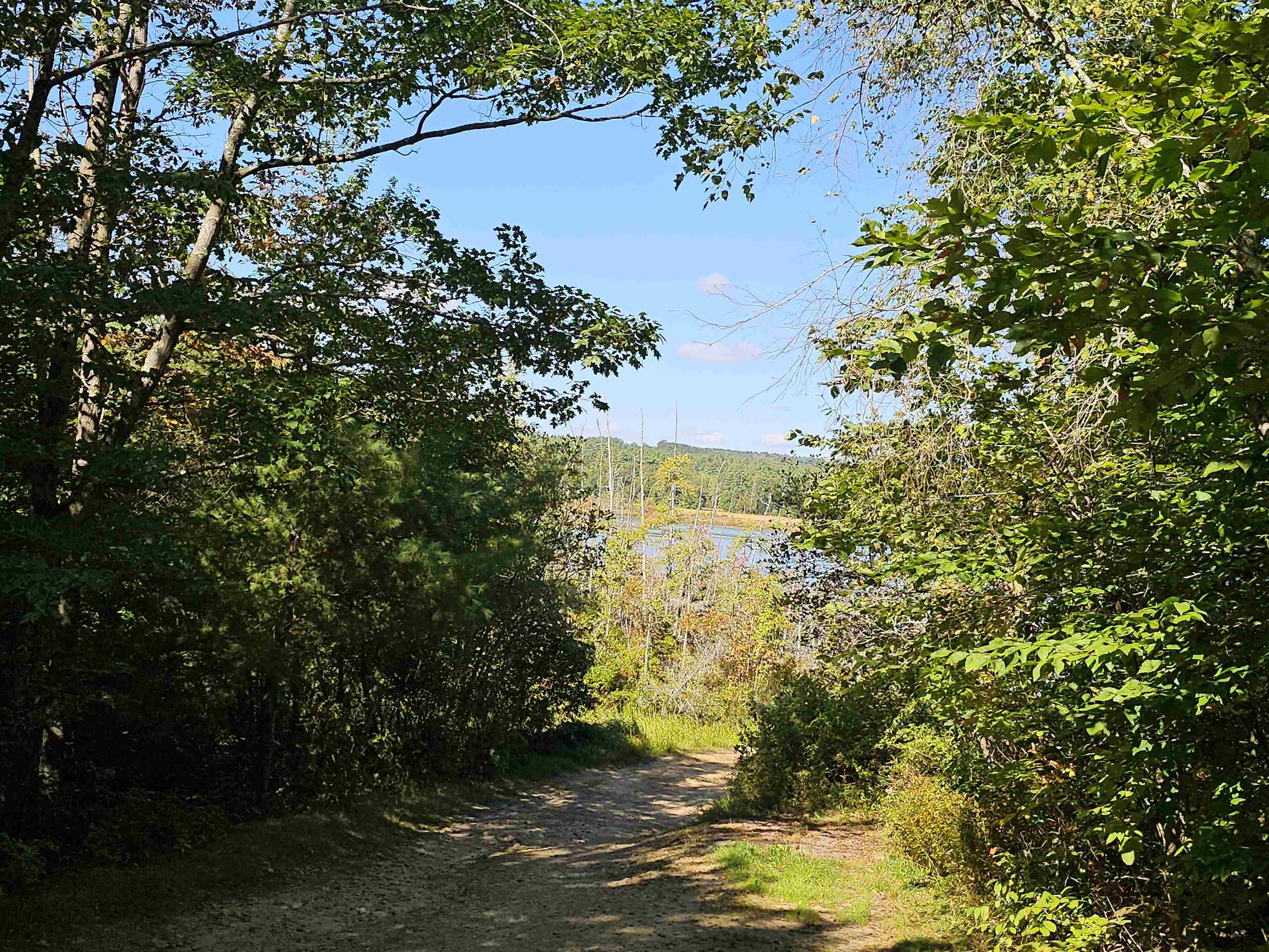 0 Shaw Road Center Barnstead, NH 03225 - Photo 30 of 39