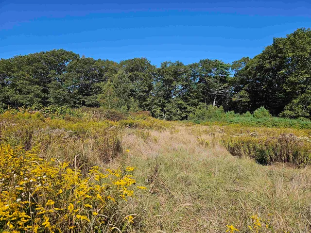 $137,500 | 0 Shaw Road, Center Barnstead, NH 03225