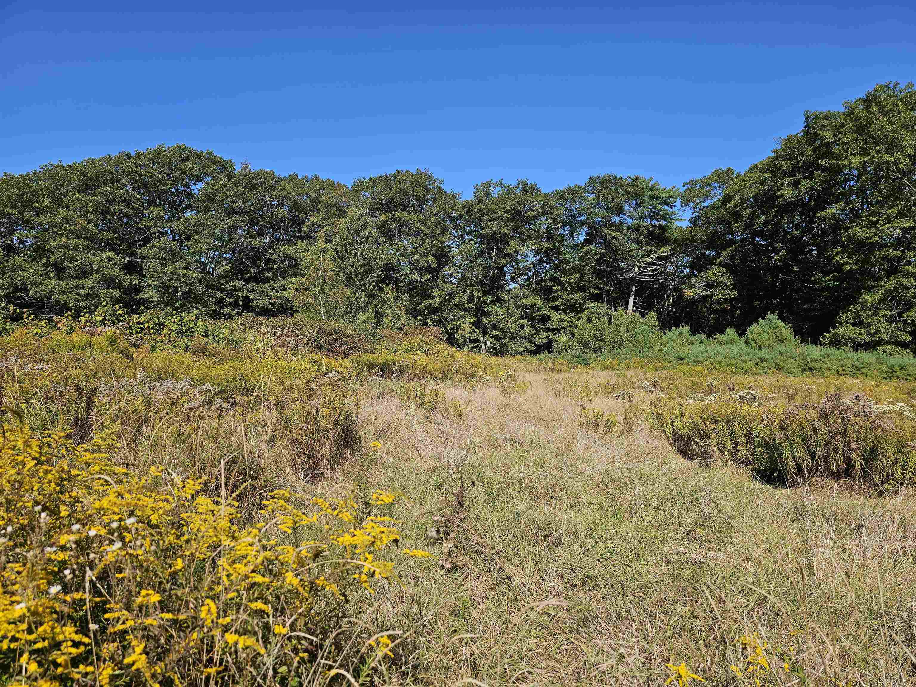 0 Shaw Road Center Barnstead, NH 03225 - Photo 3 of 39