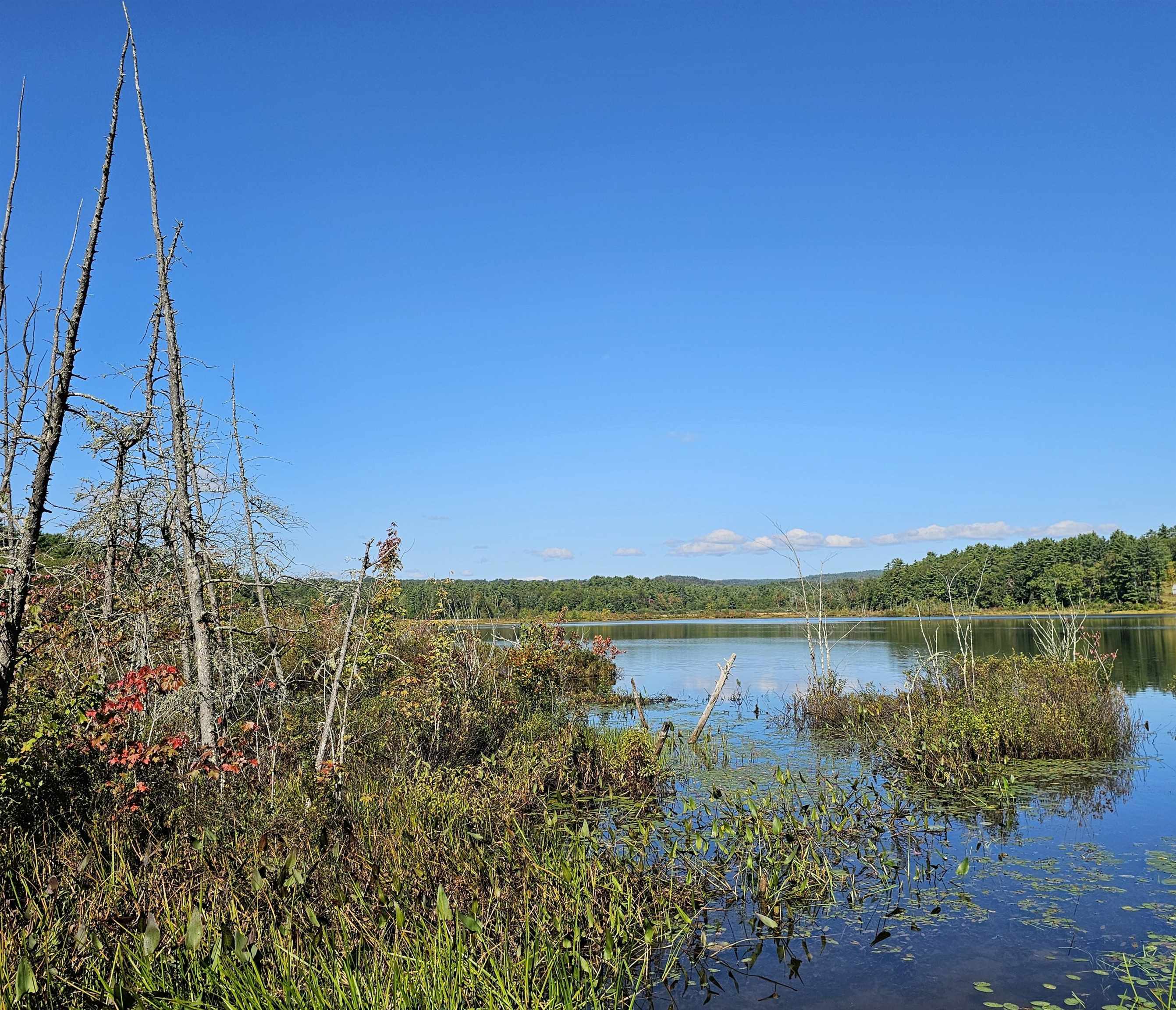 0 Shaw Road Center Barnstead, NH 03225 - Photo 32 of 39