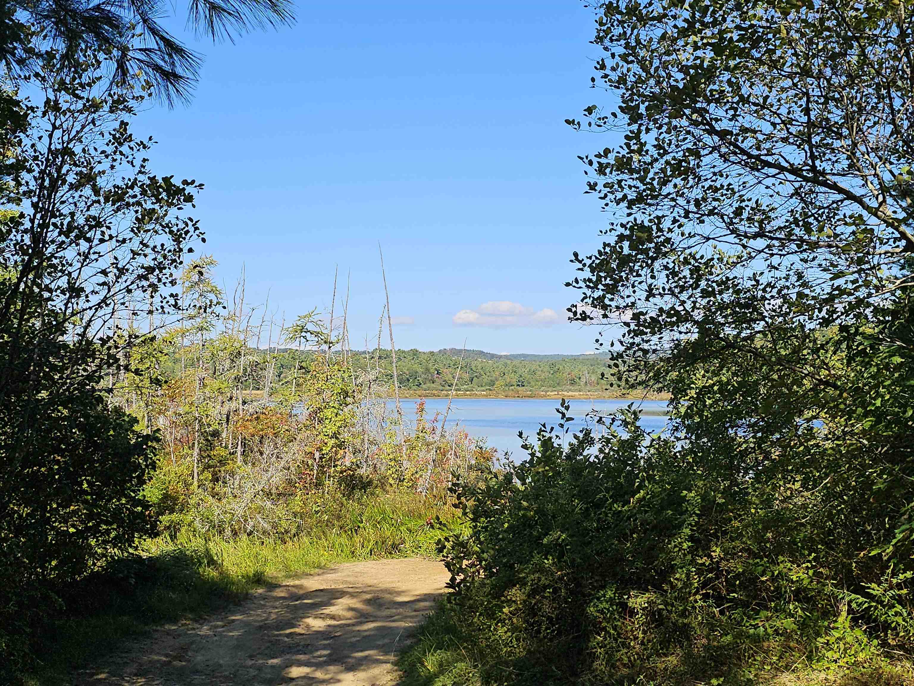 0 Shaw Road Center Barnstead, NH 03225 - Photo 38 of 39