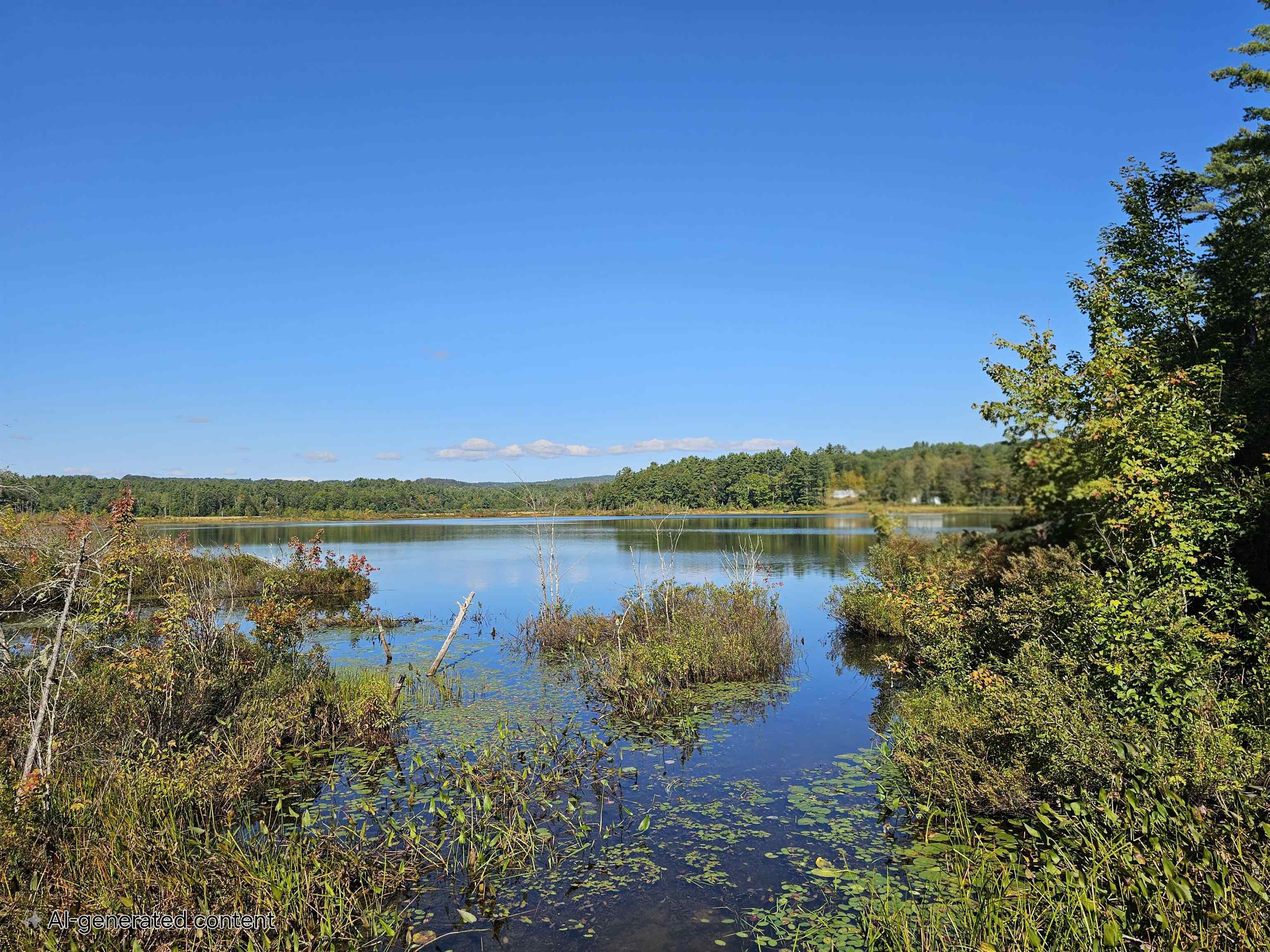 0 Shaw Road Center Barnstead, NH 03225 - Photo 39 of 39