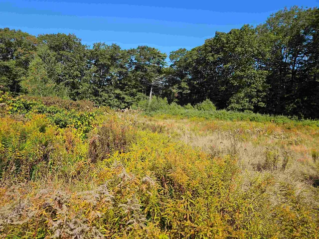 $137,500 | 0 Shaw Road, Center Barnstead, NH 03225